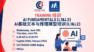 Offline Training - AI Fundamentals (L1&L2) - 3H or 7H Training